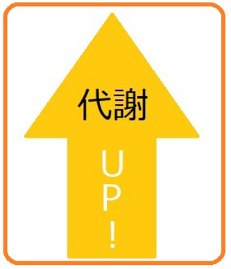 代謝を向上させる